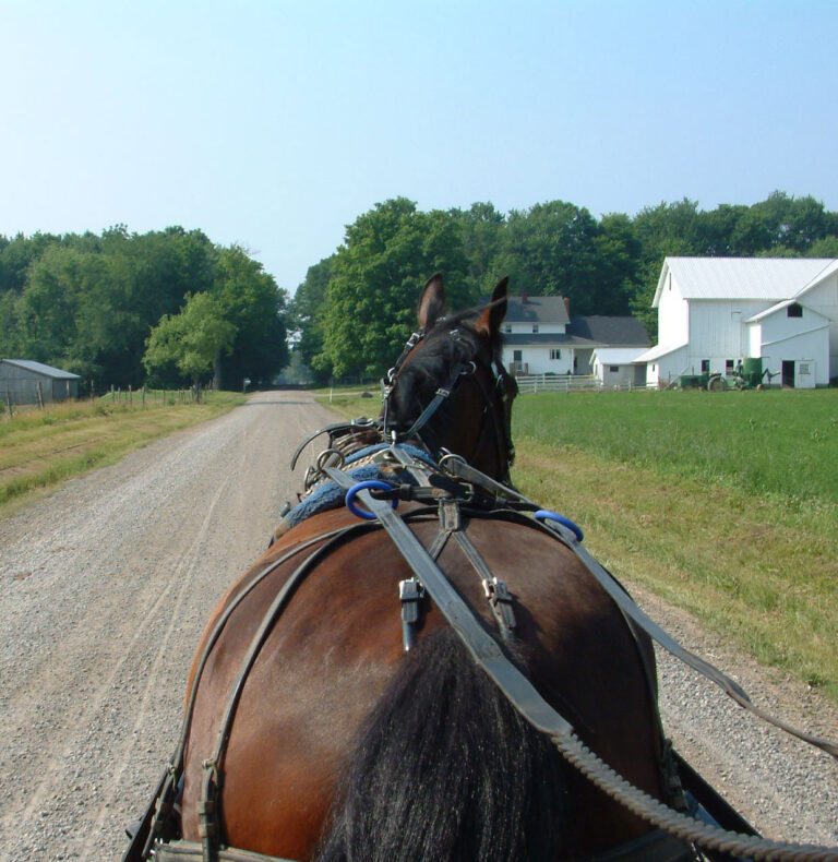 The Farm House Burton, Middlefield and Parkman townships area of